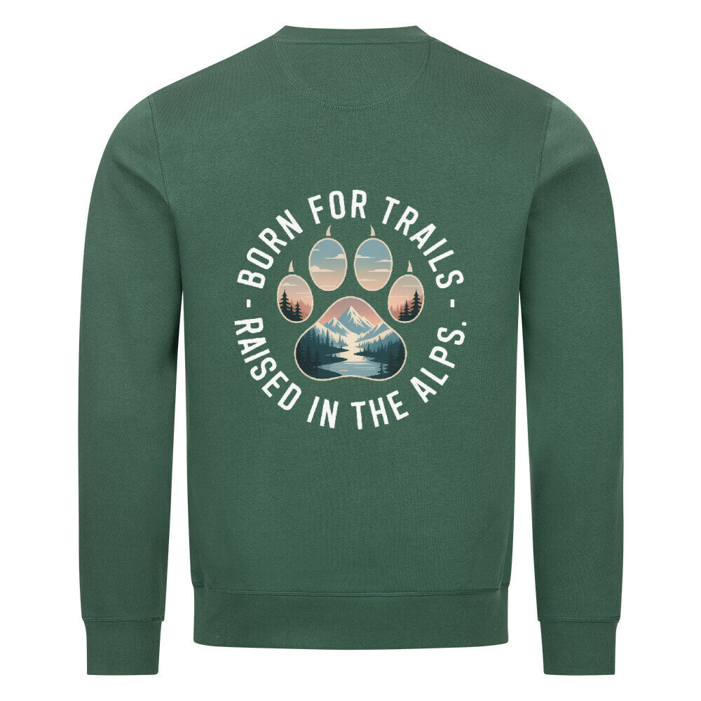 Image for color: varsity green